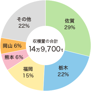 二条大麦（大粒大麦）