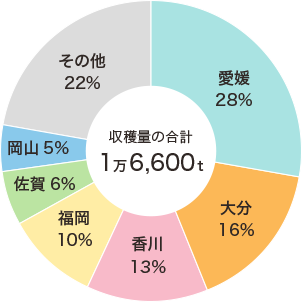 はだか麦